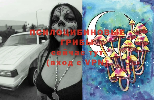 тгк Алзамай