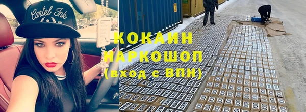 тгк Алзамай