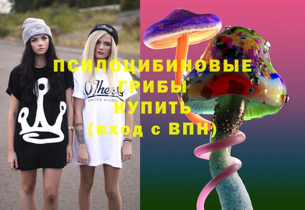 тгк Алзамай