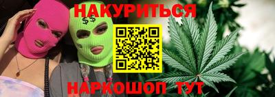 сатива Бийск