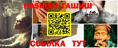 сатива Бийск
