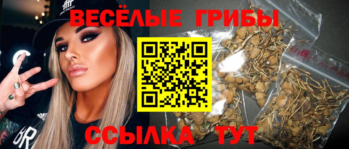Галлюциногенные грибы мицелий Клин