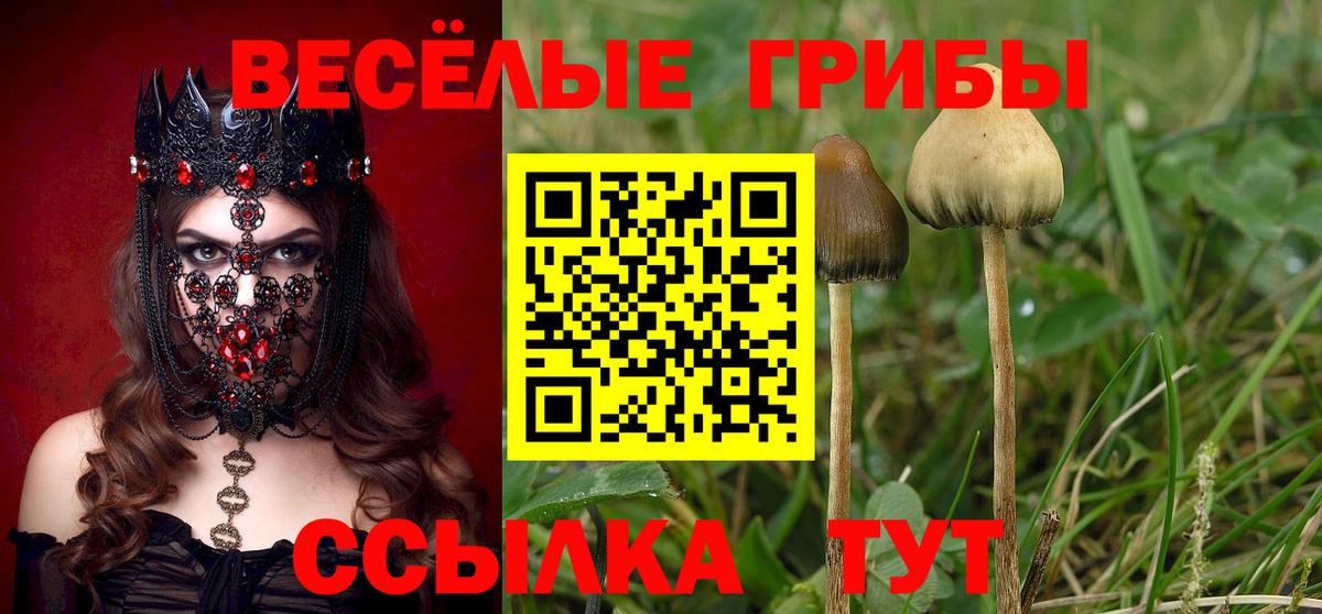 Галлюциногенные грибы Cubensis  Вход с VPN  Клин 